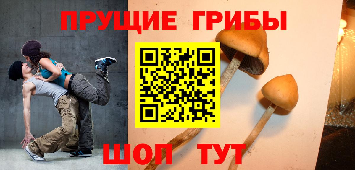 Псилоцибиновые грибы Psilocybe  Вход с VPN  Лосино-Петровский  Псилоцибиновые грибы Magic Shrooms 
